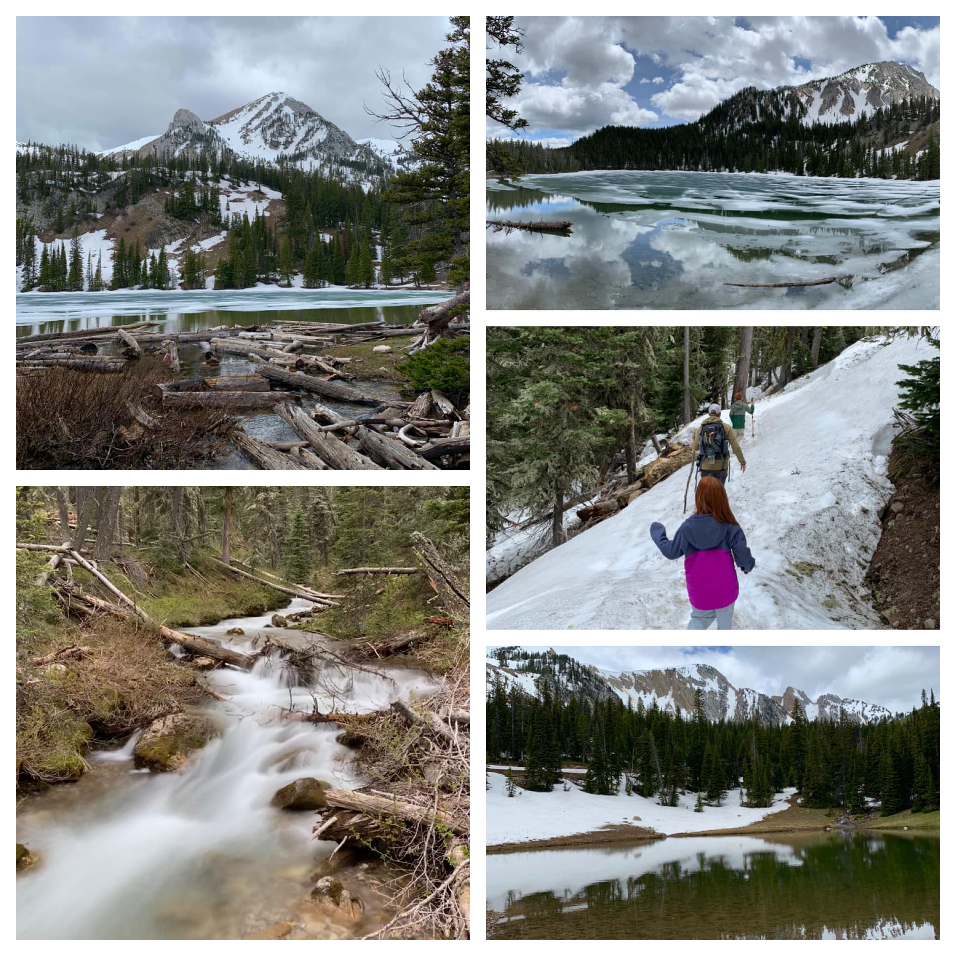 Montana & Glacier National Park — family travel photo 6