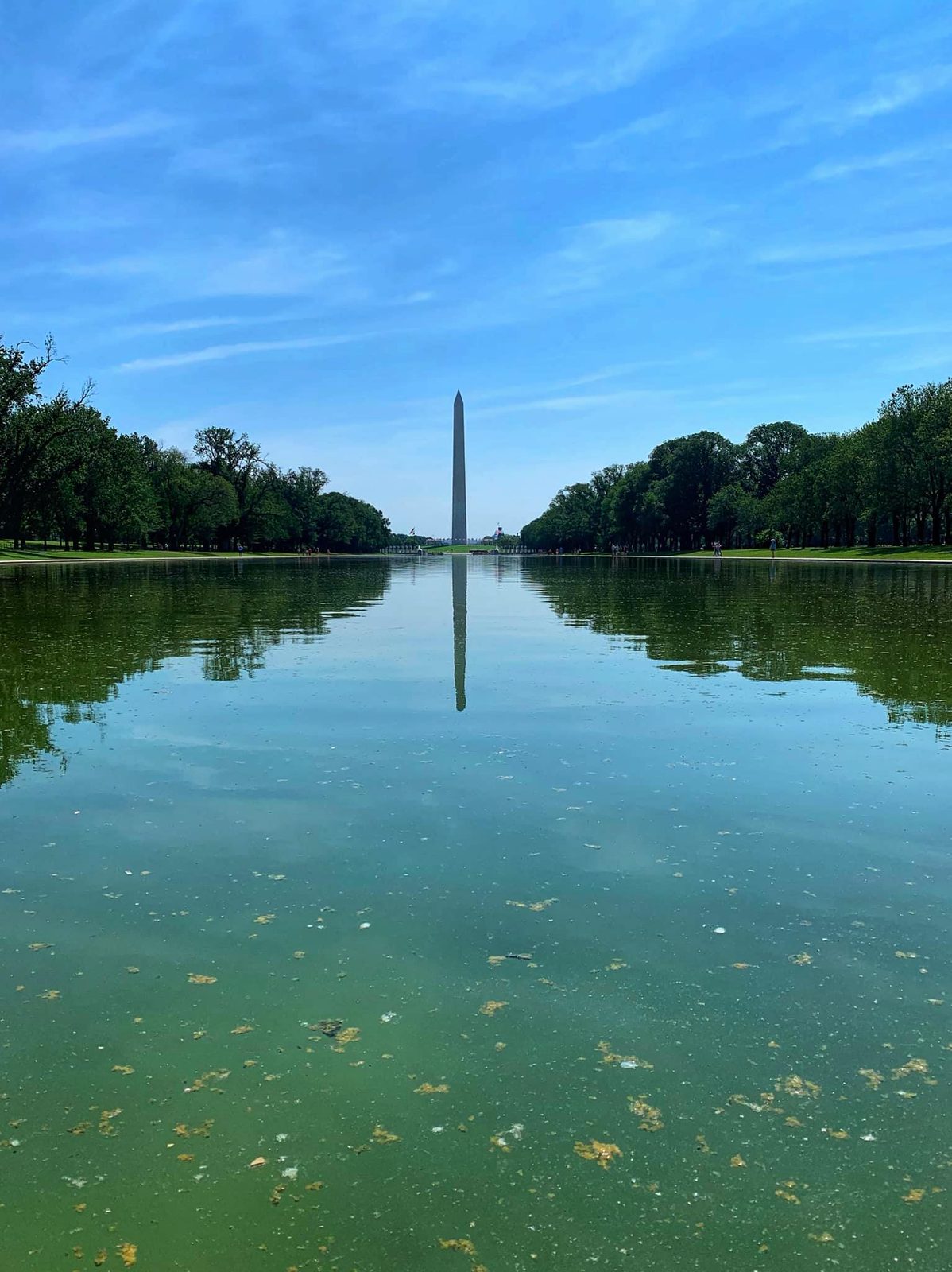 National Mall & Memorial Parks — the Baughn family visit
