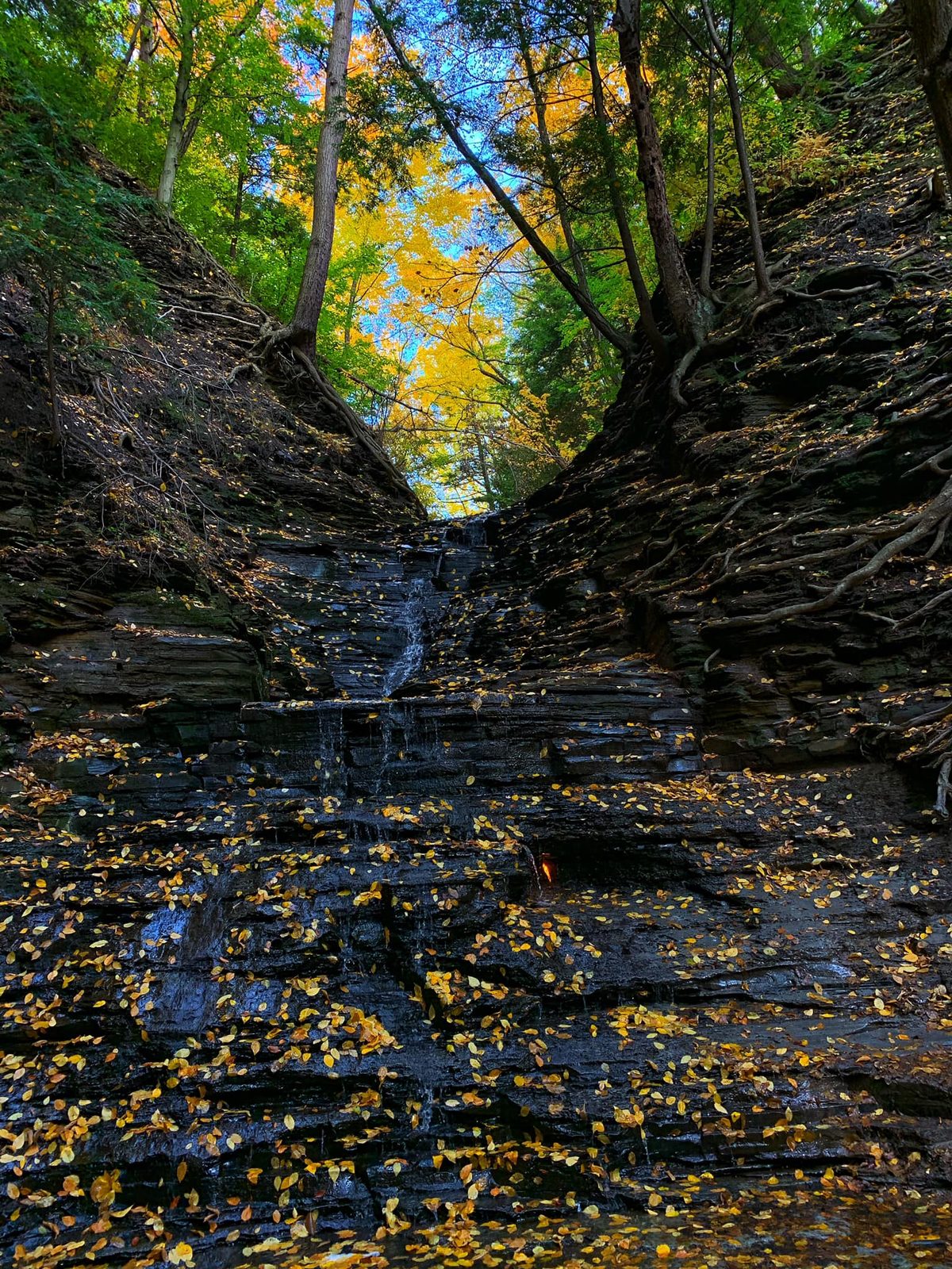 Upstate New York — family travel photo 10