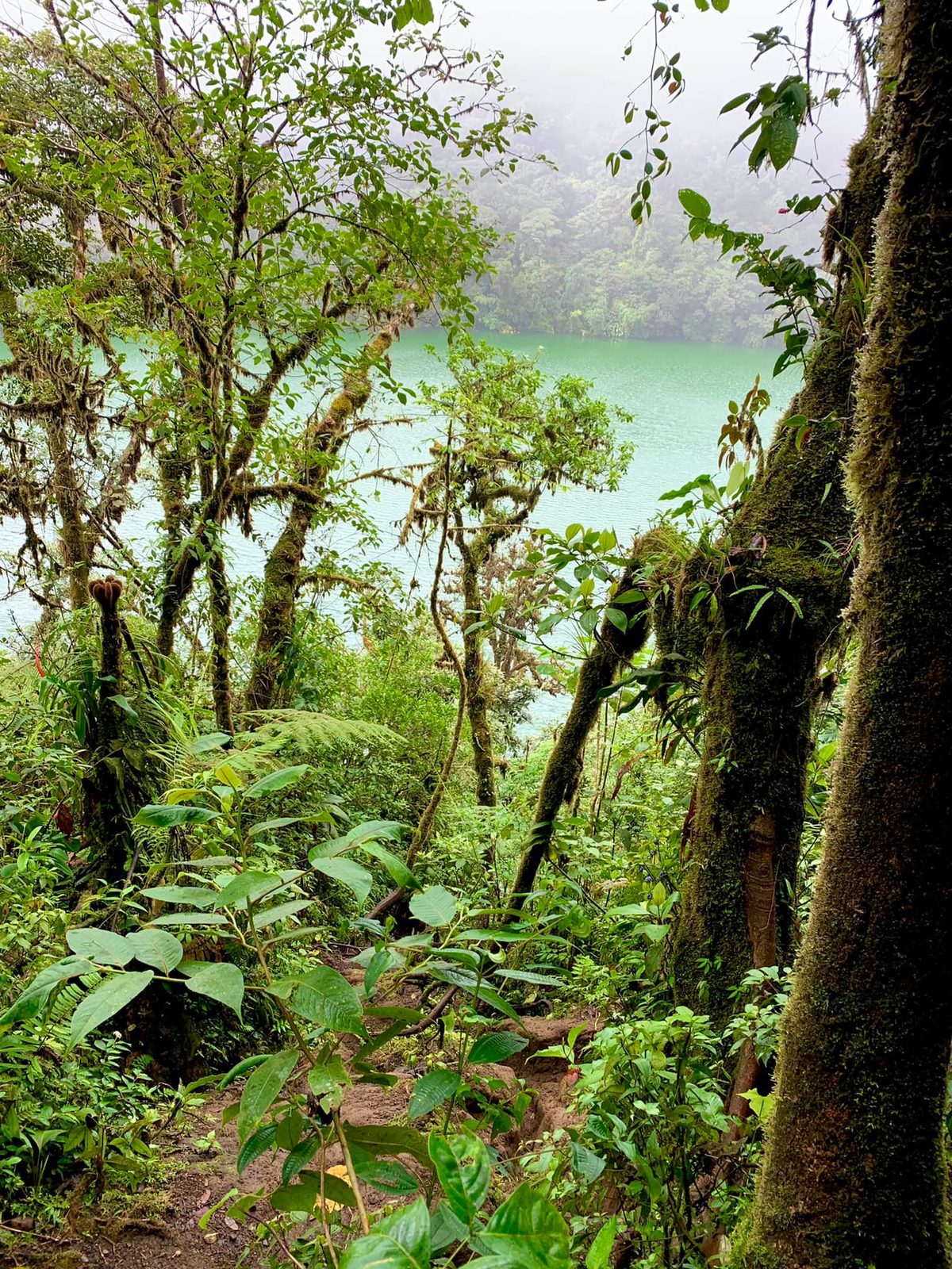 Costa Rica — Family Christmas — family travel photo 2