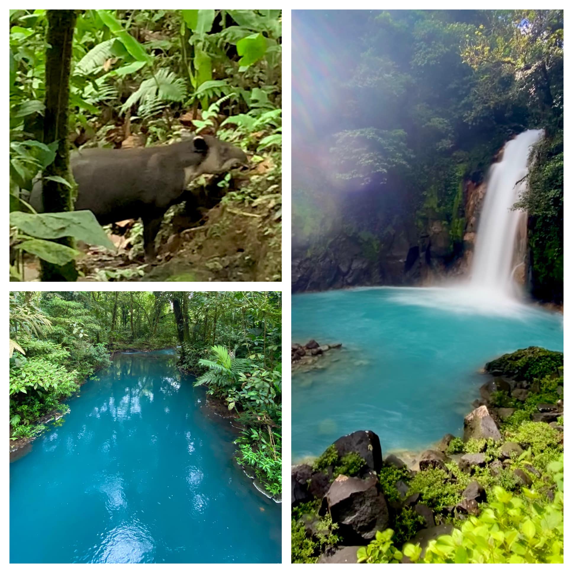 Costa Rica — Family Christmas — family travel photo 7