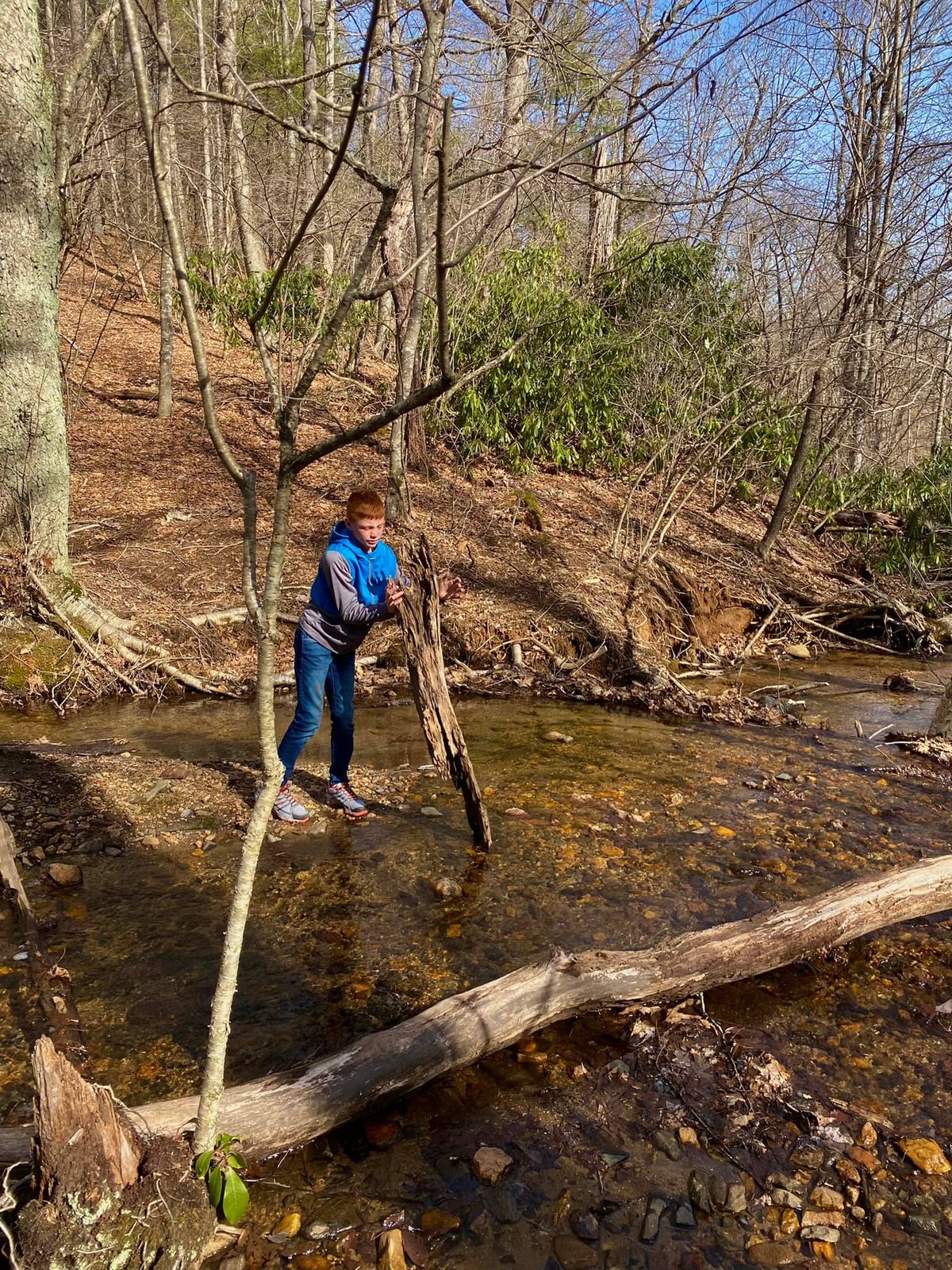 North Carolina Mountains — family travel photo 3