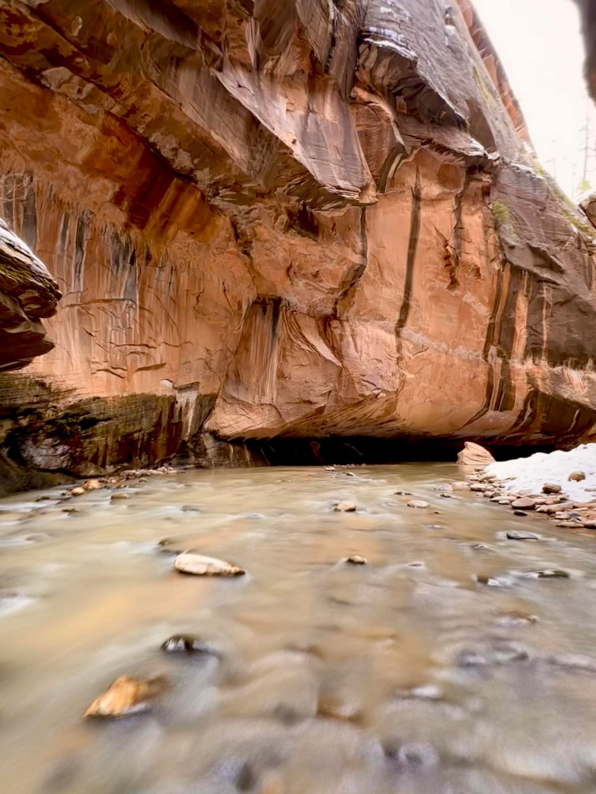 Zion National Park — family travel photo 12