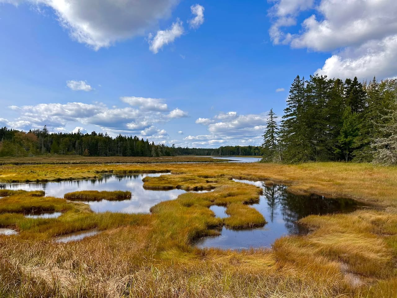 Acadia National Park — family travel photo 5
