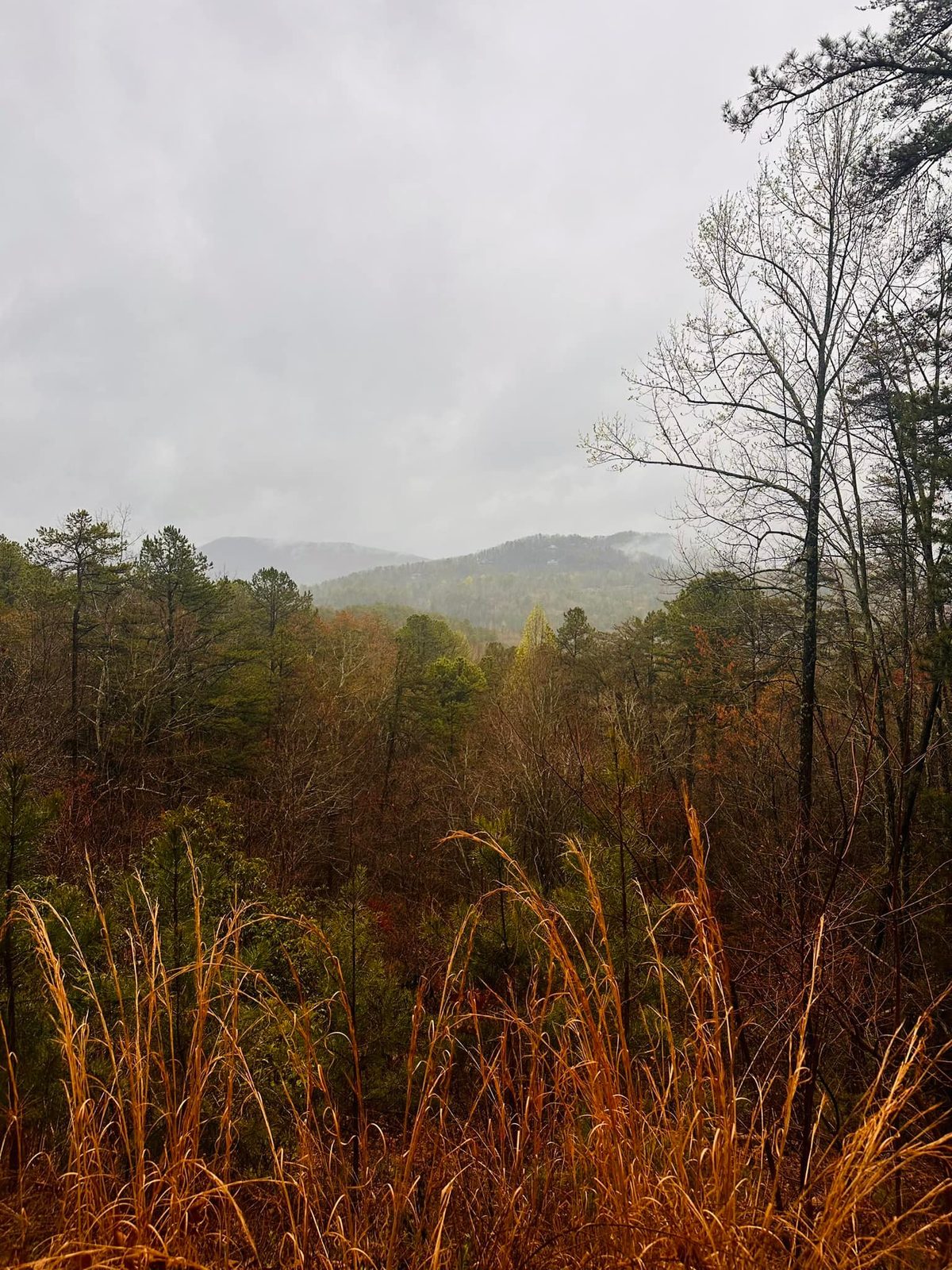 North Georgia — family travel photo 5