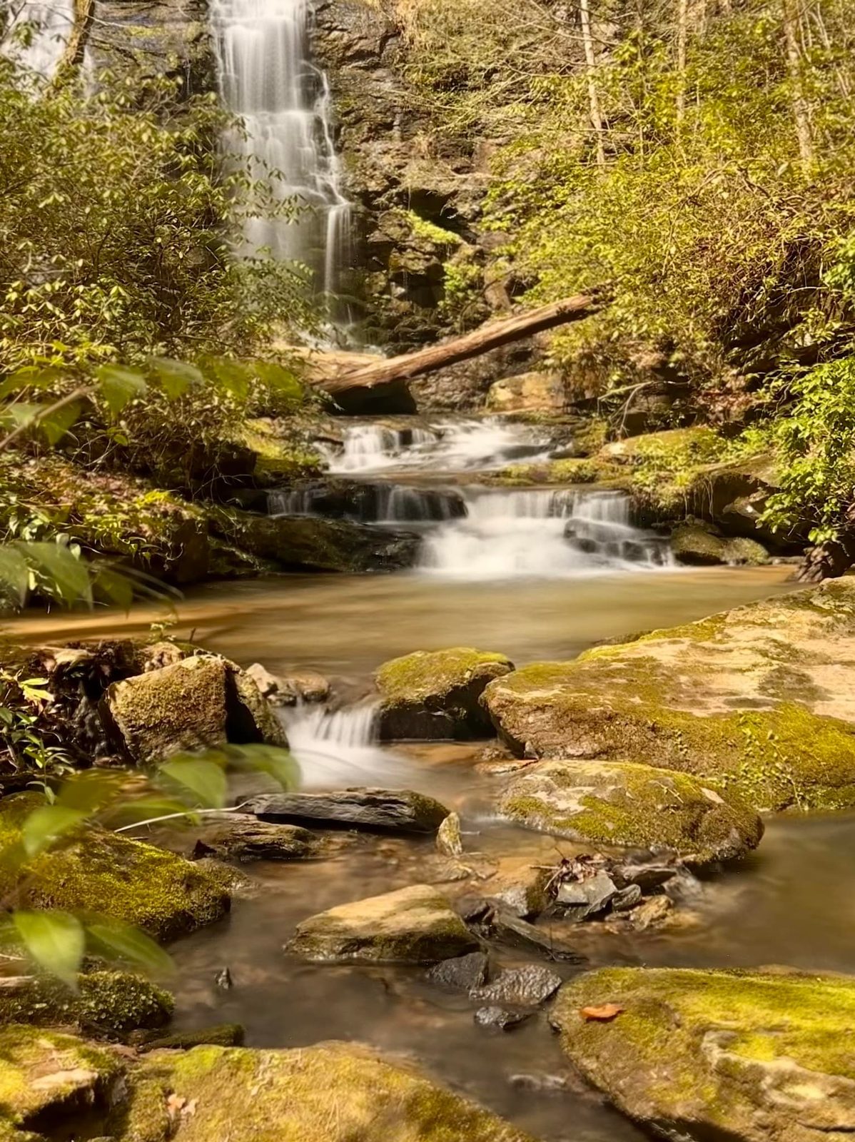 North Georgia — family travel photo 12