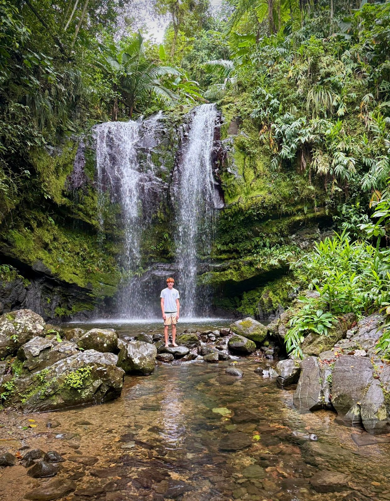 El Yunque National Forest — the Baughn family visit