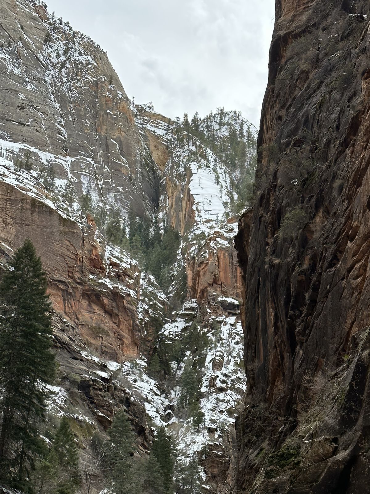 Zion National Park — family travel photo 37