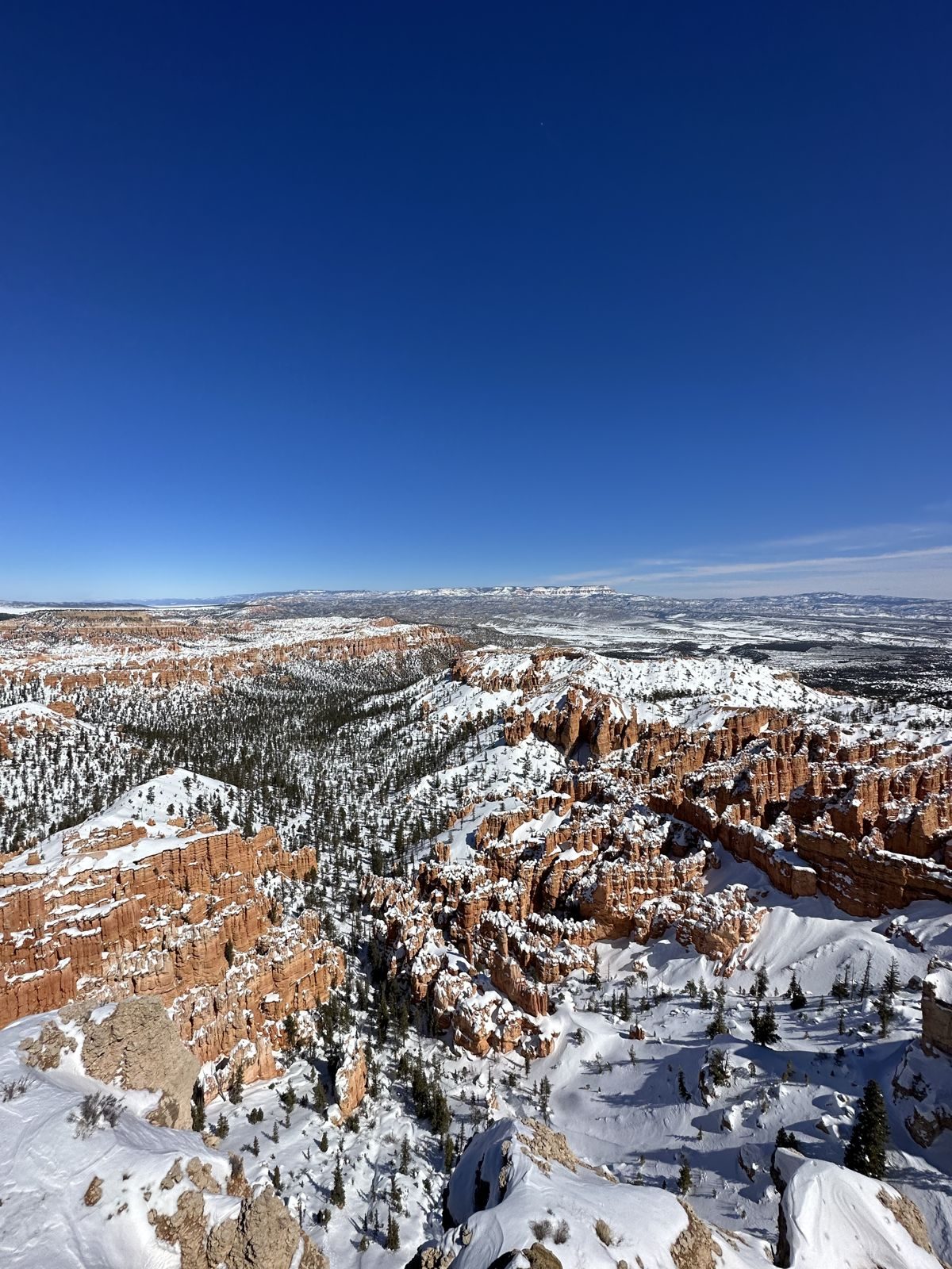 Zion National Park — family travel photo 15