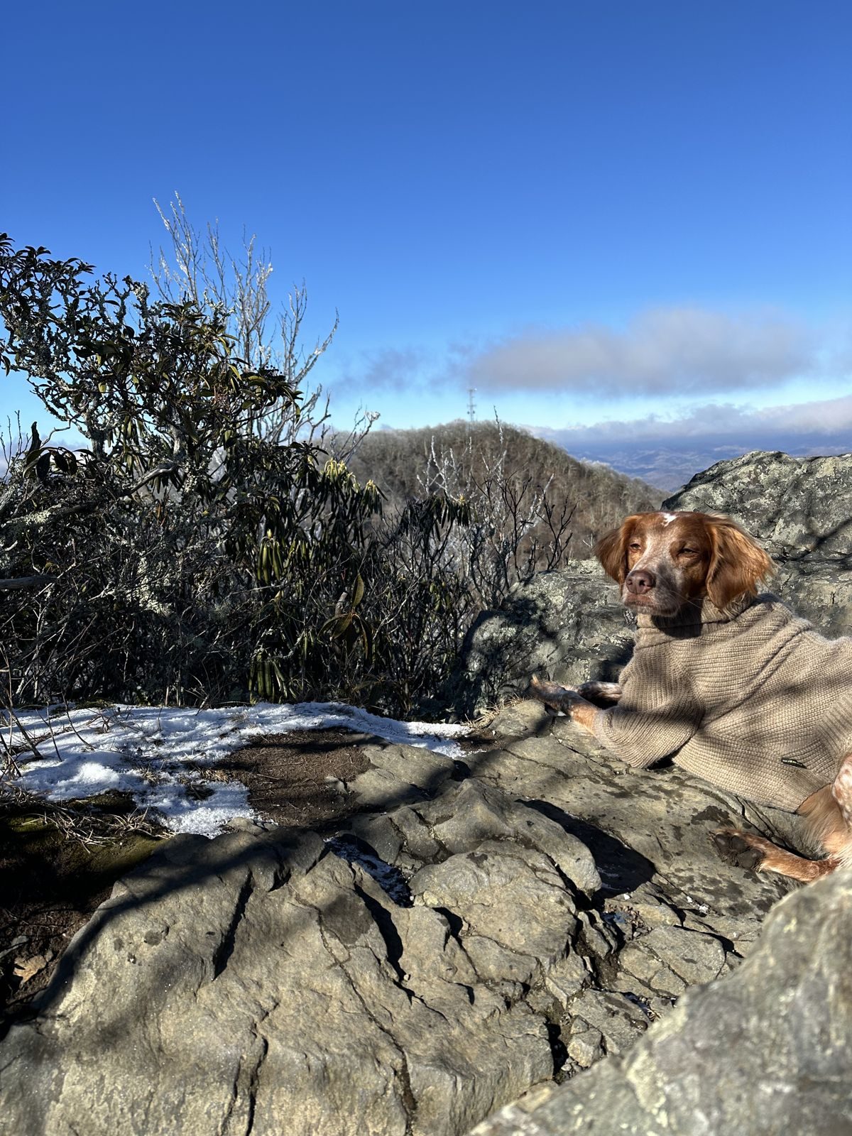North Carolina — family travel photo 20