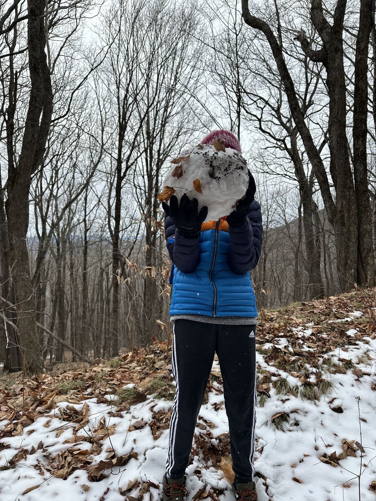 North Carolina — family travel photo 24