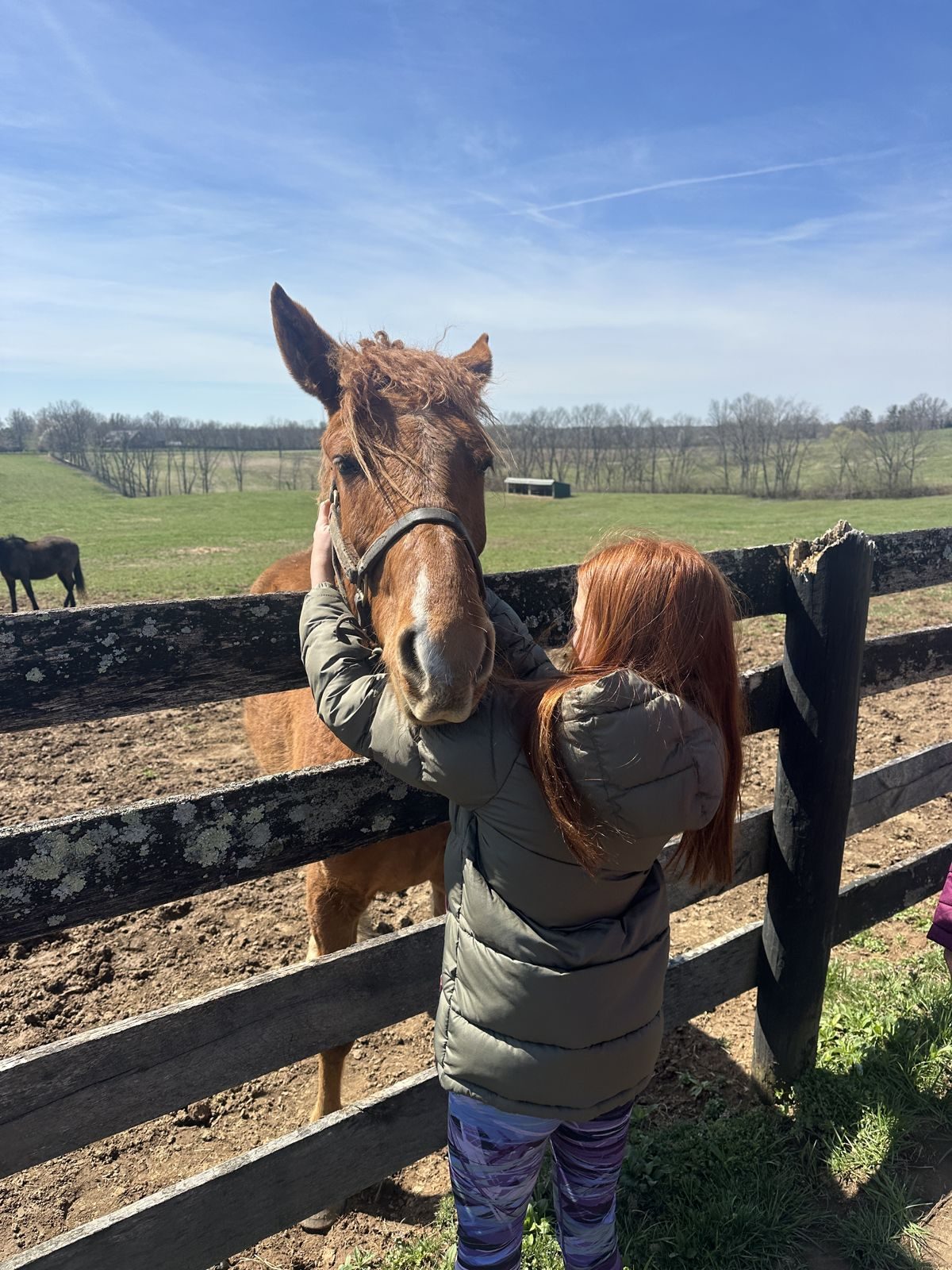 Kentucky — family travel photo 17