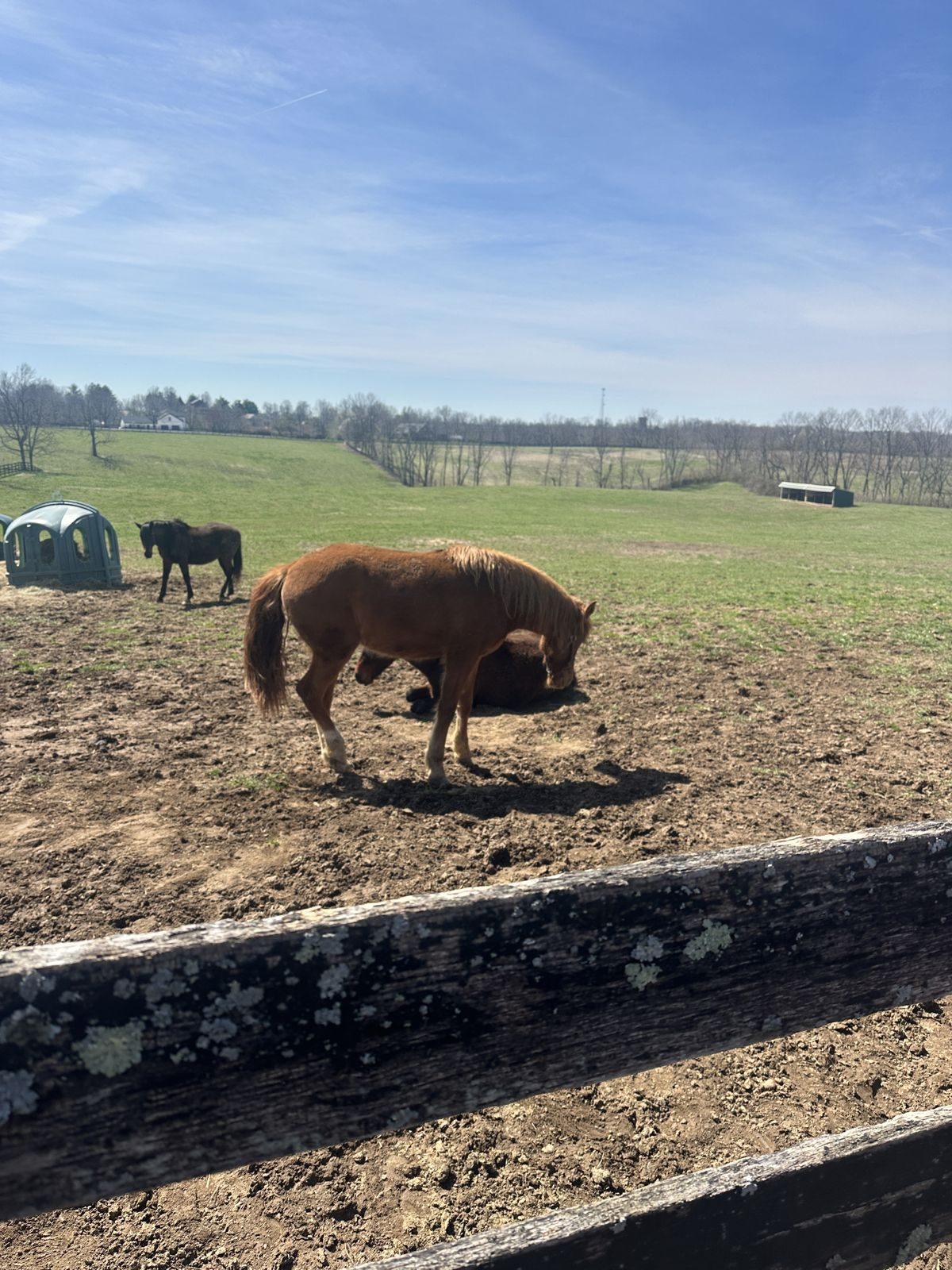 Kentucky — family travel photo 29