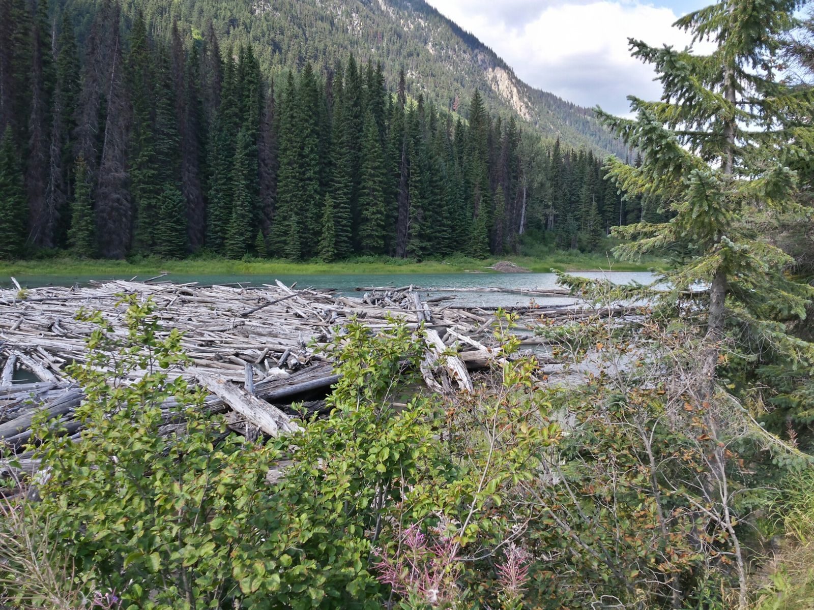 Alaska & the Canadian Rockies — Summer 2014 — family travel photo 16