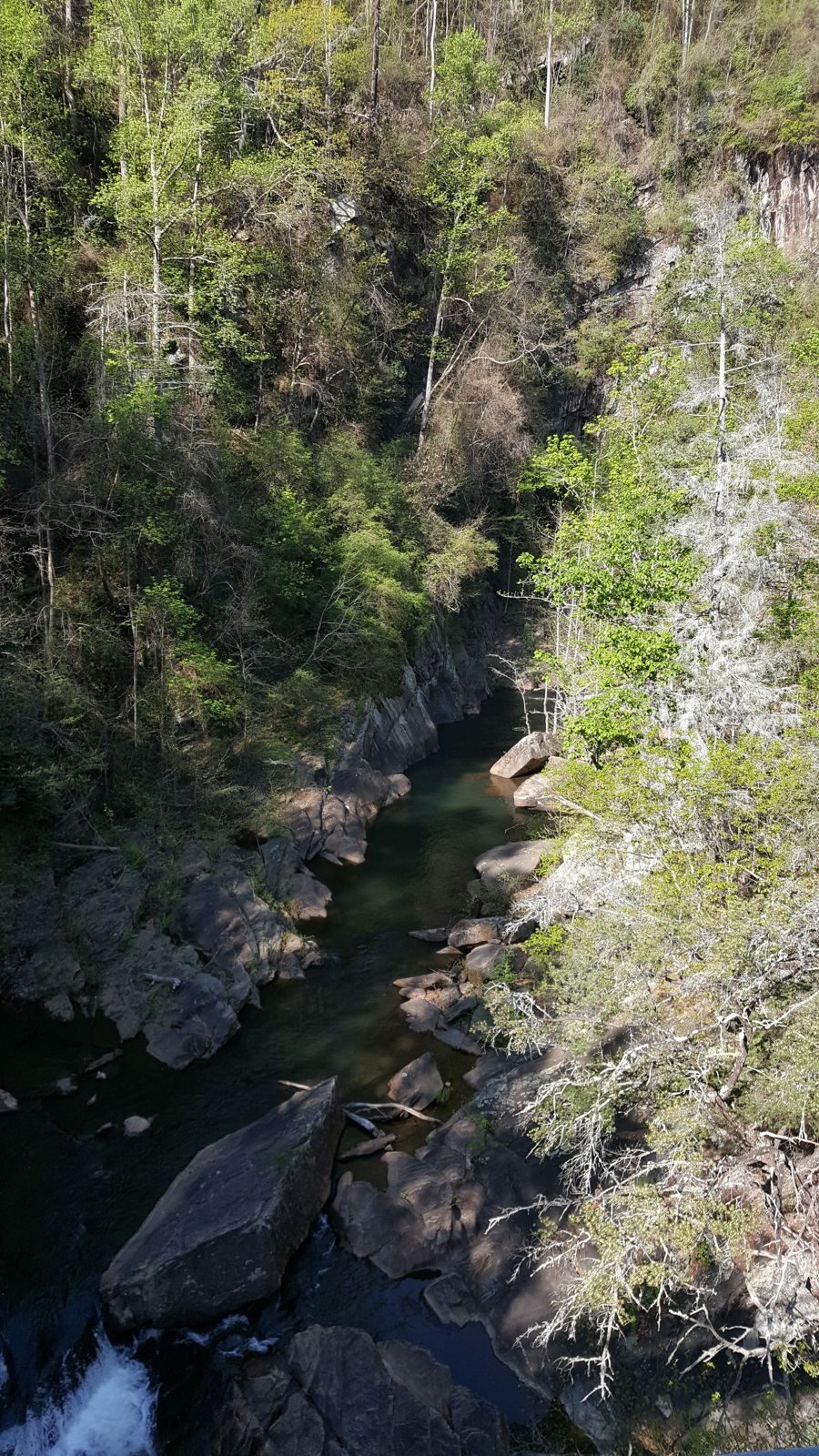 North Georgia — Spring 2017 — family travel photo 9