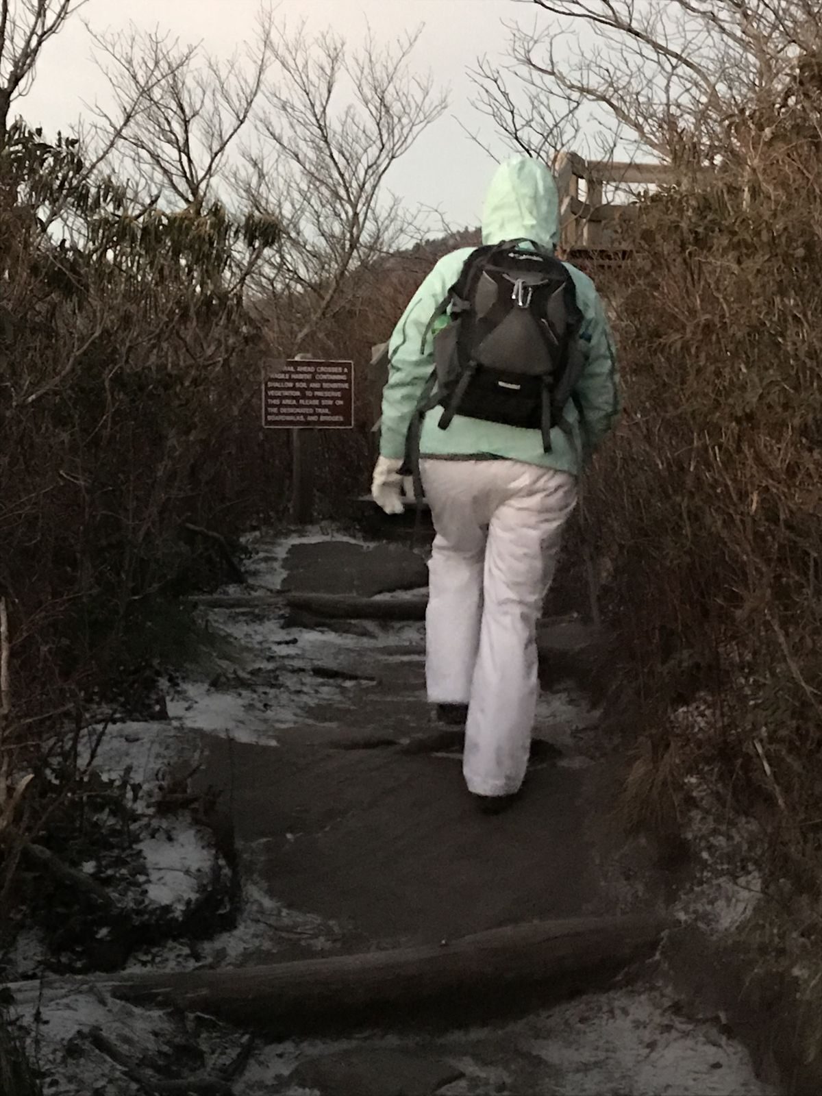 North Carolina “High Country” – Week 2 — family travel photo 27